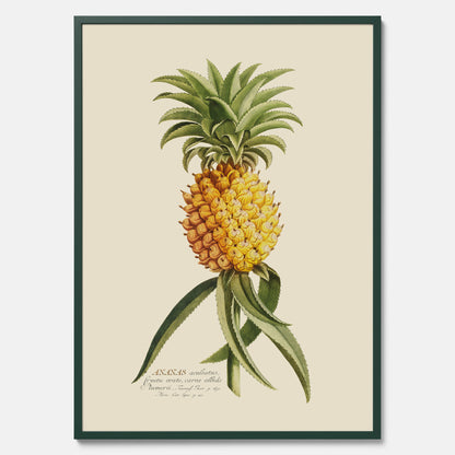 Kökstavla med en Ananas Poster – Plansch till köket, Skolposter, köksposter, tavla till kök, poster till kök