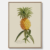 Kökstavla i canvas med en Ananas – Plansch till köket, Skolposter, köksposter, tavla till kök, poster till kök