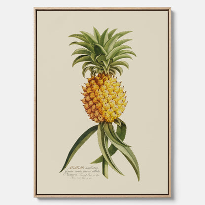 Kökstavla i canvas med en Ananas – Plansch till köket, Skolposter, köksposter, tavla till kök, poster till kök