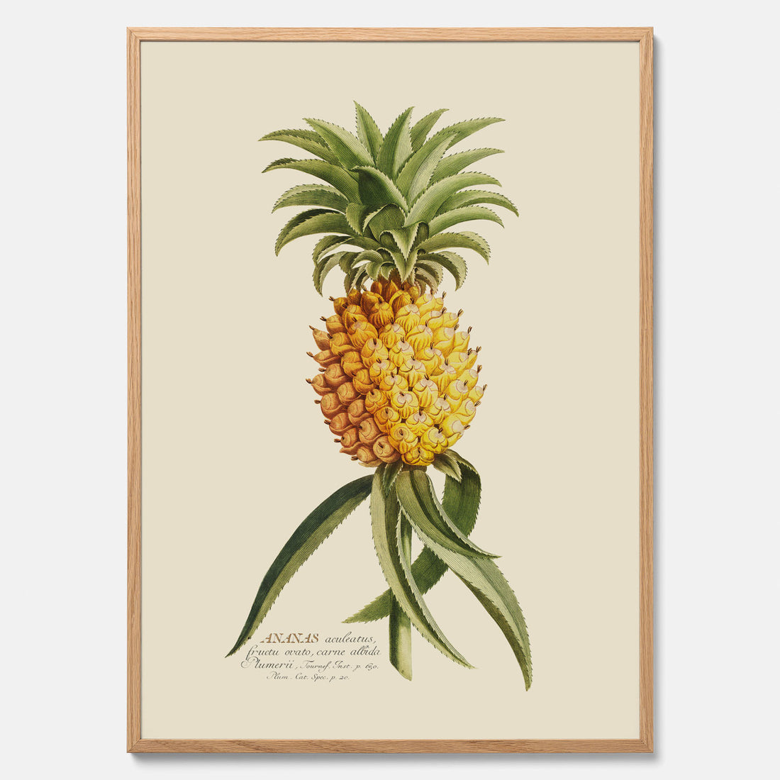 Kökstavla med en Ananas Poster – Plansch till köket, Skolposter, köksposter, tavla till kök, poster till kök