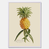 Kökstavla med en Ananas Poster – Plansch till köket, Skolposter, köksposter, tavla till kök, poster till kök