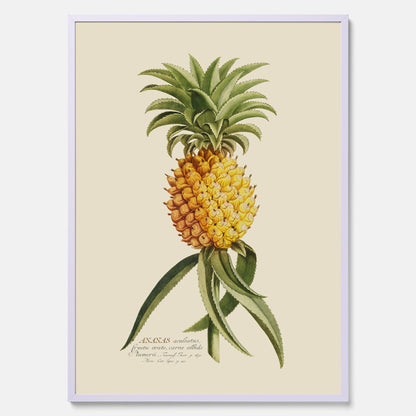 Kökstavla med en Ananas Poster – Plansch till köket, Skolposter, köksposter, tavla till kök, poster till kök