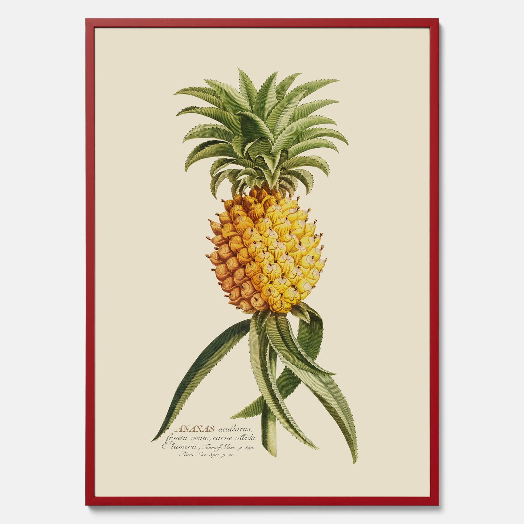 Kökstavla med en Ananas Poster – Plansch till köket, Skolposter, köksposter, tavla till kök, poster till kök