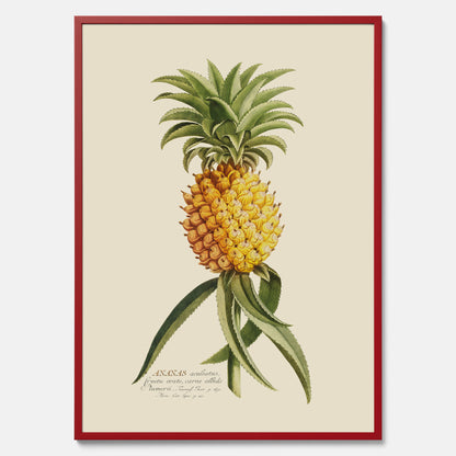 Kökstavla med en Ananas Poster – Plansch till köket, Skolposter, köksposter, tavla till kök, poster till kök