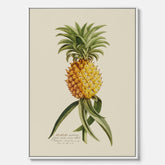 Kökstavla i canvas med en Ananas – Plansch till köket, Skolposter, köksposter, tavla till kök, poster till kök