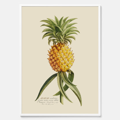 Kökstavla med en Ananas Poster – Plansch till köket, Skolposter, köksposter, tavla till kök, poster till kök