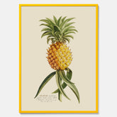 Kökstavla med en Ananas Poster – Plansch till köket, Skolposter, köksposter, tavla till kök, poster till kök