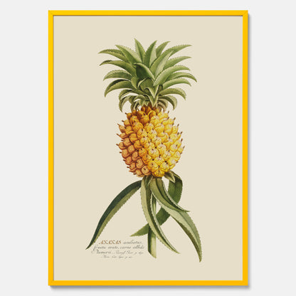 Kökstavla med en Ananas Poster – Plansch till köket, Skolposter, köksposter, tavla till kök, poster till kök