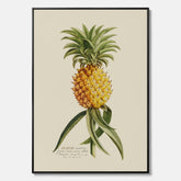 Kökstavla i canvas med en Ananas – Plansch till köket, Skolposter, köksposter, tavla till kök, poster till kök