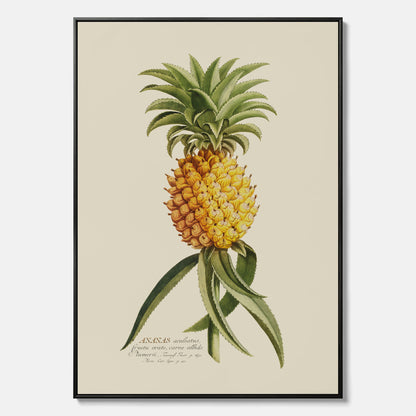 Kökstavla i canvas med en Ananas – Plansch till köket, Skolposter, köksposter, tavla till kök, poster till kök