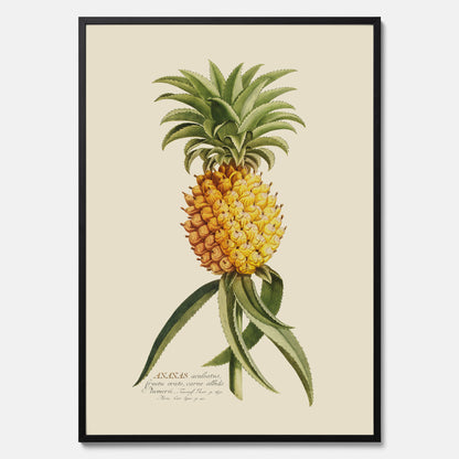 Kökstavla med en Ananas Poster – Plansch till köket, Skolposter, köksposter, tavla till kök, poster till kök