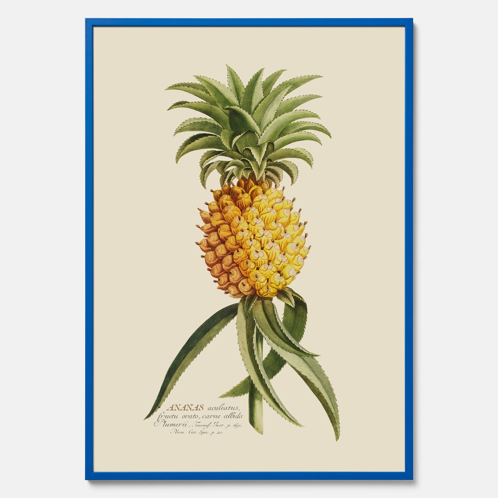 Kökstavla med en Ananas Poster – Plansch till köket, Skolposter, köksposter, tavla till kök, poster till kök