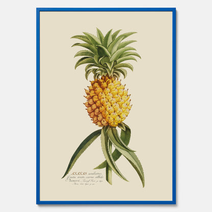 Kökstavla med en Ananas Poster – Plansch till köket, Skolposter, köksposter, tavla till kök, poster till kök