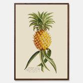 Kökstavla med en Ananas Poster – Plansch till köket, Skolposter, köksposter, tavla till kök, poster till kök