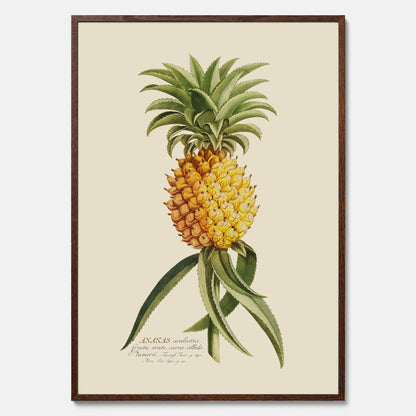 Kökstavla med en Ananas Poster – Plansch till köket, Skolposter, köksposter, tavla till kök, poster till kök