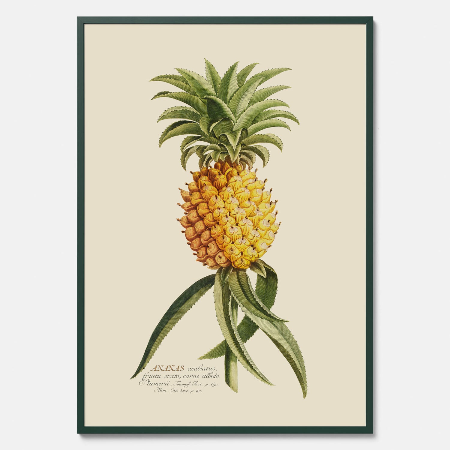 Kökstavla med en Ananas Poster – Plansch till köket, Skolposter, köksposter, tavla till kök, poster till kök