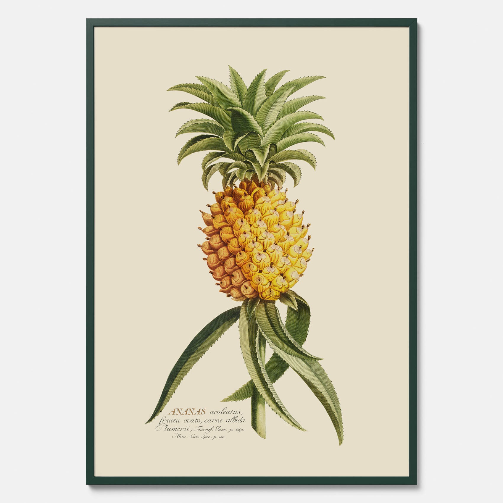 Kökstavla med en Ananas Poster – Plansch till köket, Skolposter, köksposter, tavla till kök, poster till kök