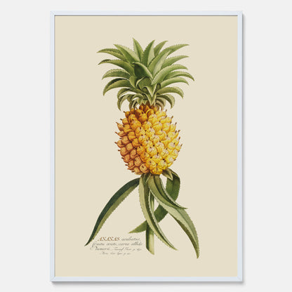 Kökstavla med en Ananas Poster – Plansch till köket, Skolposter, köksposter, tavla till kök, poster till kök