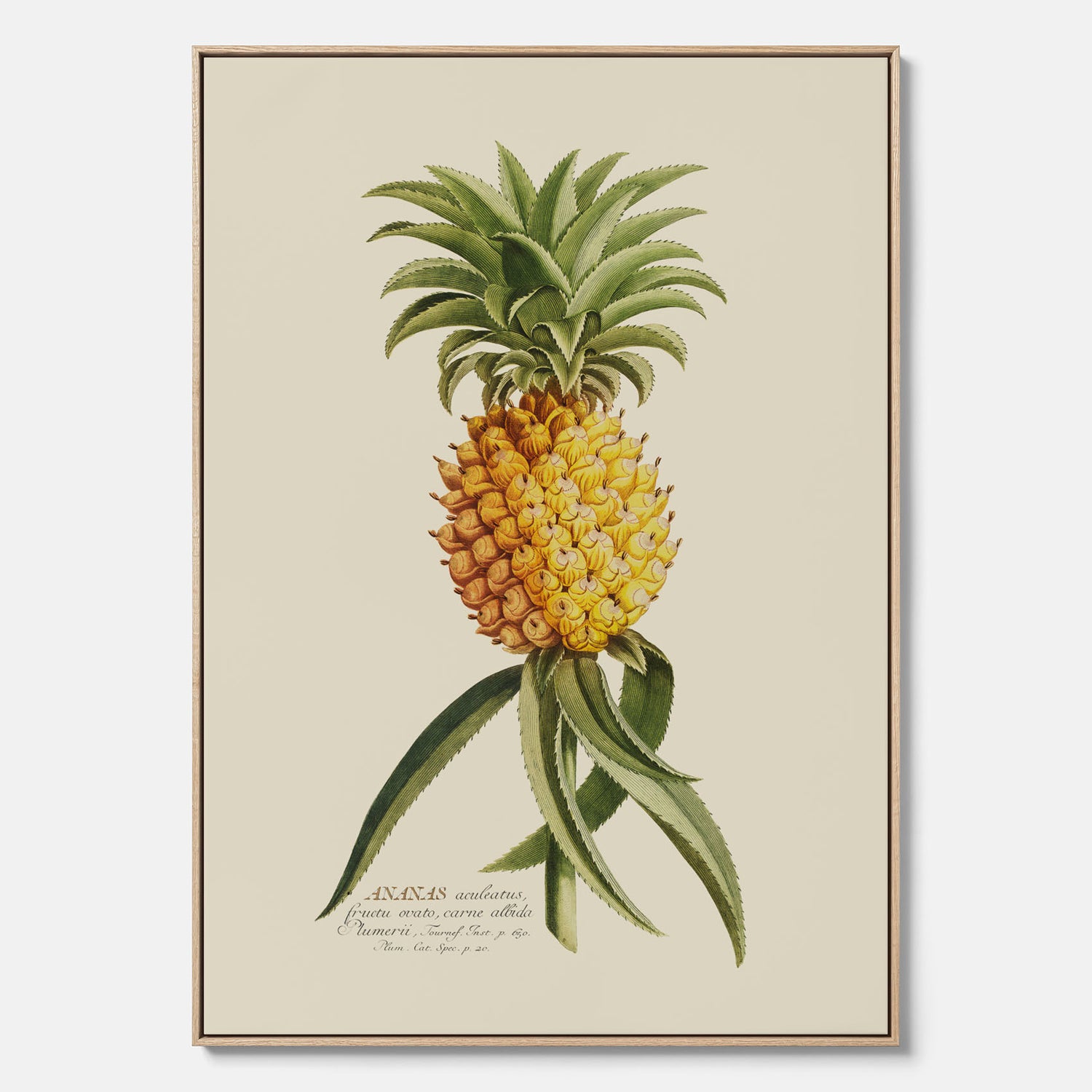 Kökstavla i canvas med en Ananas – Plansch till köket, Skolposter, köksposter, tavla till kök, poster till kök