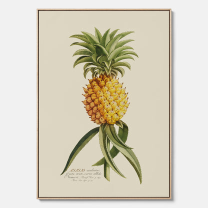 Kökstavla i canvas med en Ananas – Plansch till köket, Skolposter, köksposter, tavla till kök, poster till kök