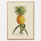 Kökstavla med en Ananas Poster – Plansch till köket, Skolposter, köksposter, tavla till kök, poster till kök