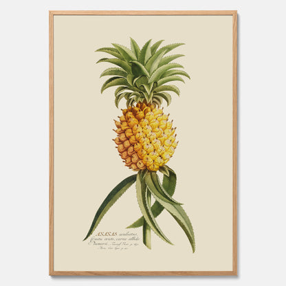 Kökstavla med en Ananas Poster – Plansch till köket, Skolposter, köksposter, tavla till kök, poster till kök