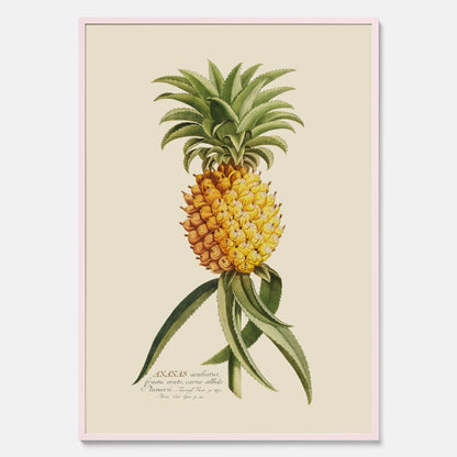 Kökstavla med en Ananas Poster – Plansch till köket, Skolposter, köksposter, tavla till kök, poster till kök