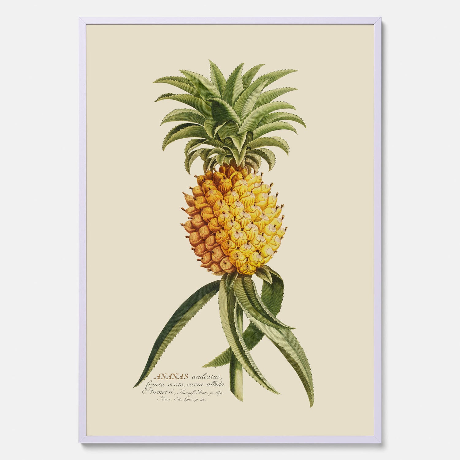 Kökstavla med en Ananas Poster – Plansch till köket, Skolposter, köksposter, tavla till kök, poster till kök