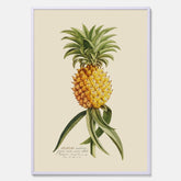 Kökstavla med en Ananas Poster – Plansch till köket, Skolposter, köksposter, tavla till kök, poster till kök