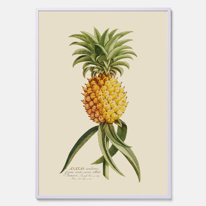 Kökstavla med en Ananas Poster – Plansch till köket, Skolposter, köksposter, tavla till kök, poster till kök
