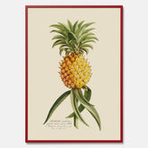 Kökstavla med en Ananas Poster – Plansch till köket, Skolposter, köksposter, tavla till kök, poster till kök