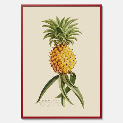 Kökstavla med en Ananas Poster – Plansch till köket, Skolposter, köksposter, tavla till kök, poster till kök