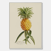 Kökstavla i canvas med en Ananas – Plansch till köket, Skolposter, köksposter, tavla till kök, poster till kök