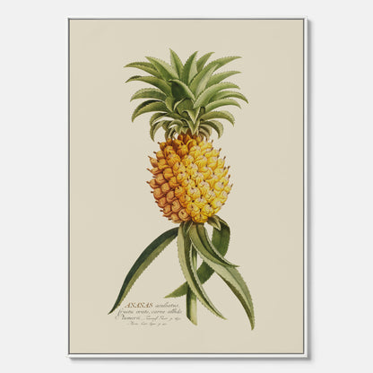 Kökstavla i canvas med en Ananas – Plansch till köket, Skolposter, köksposter, tavla till kök, poster till kök