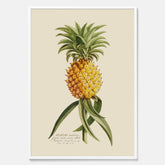 Kökstavla med en Ananas Poster – Plansch till köket, Skolposter, köksposter, tavla till kök, poster till kök