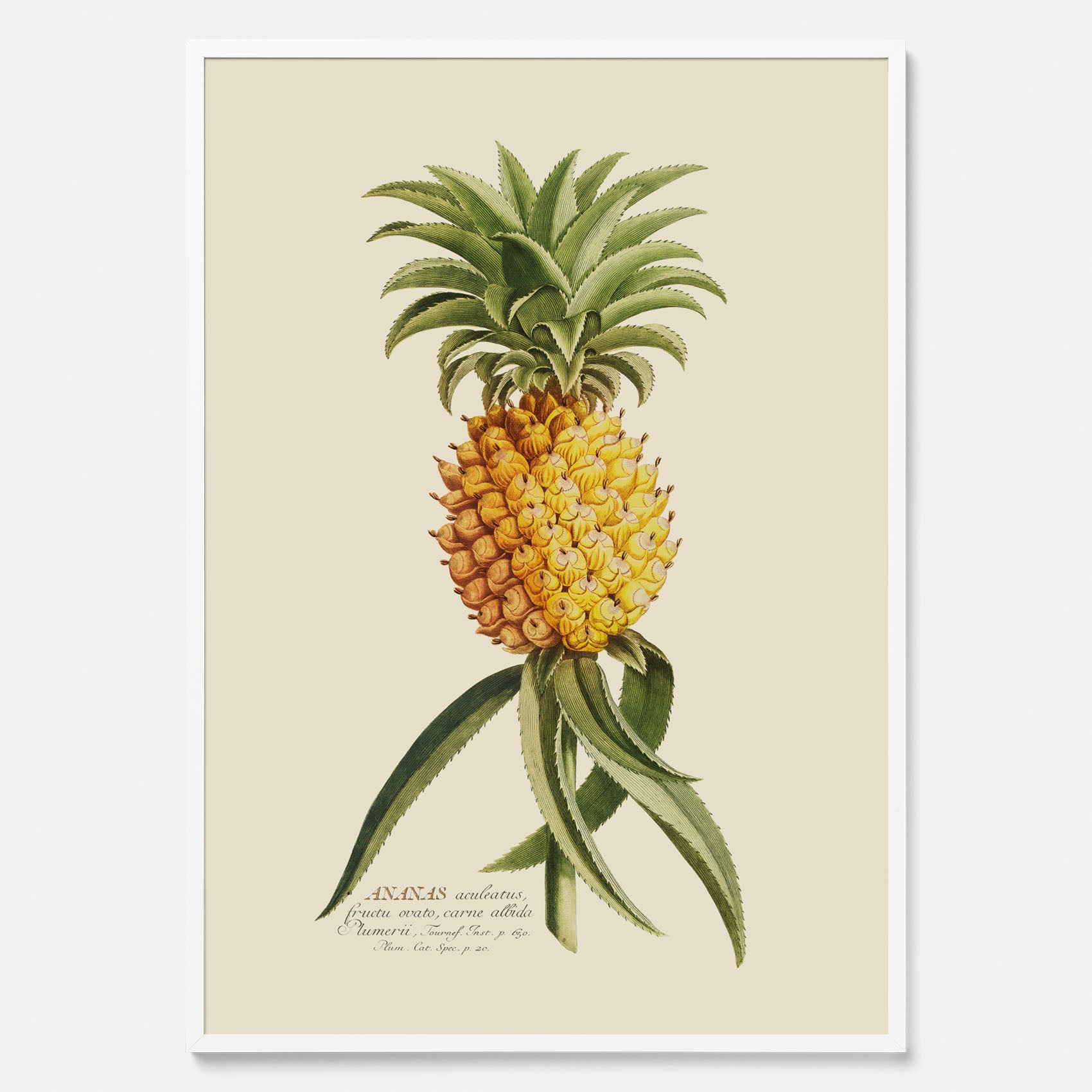 Kökstavla med en Ananas Poster – Plansch till köket, Skolposter, köksposter, tavla till kök, poster till kök