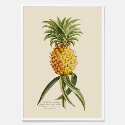 Kökstavla med en Ananas Poster – Plansch till köket, Skolposter, köksposter, tavla till kök, poster till kök