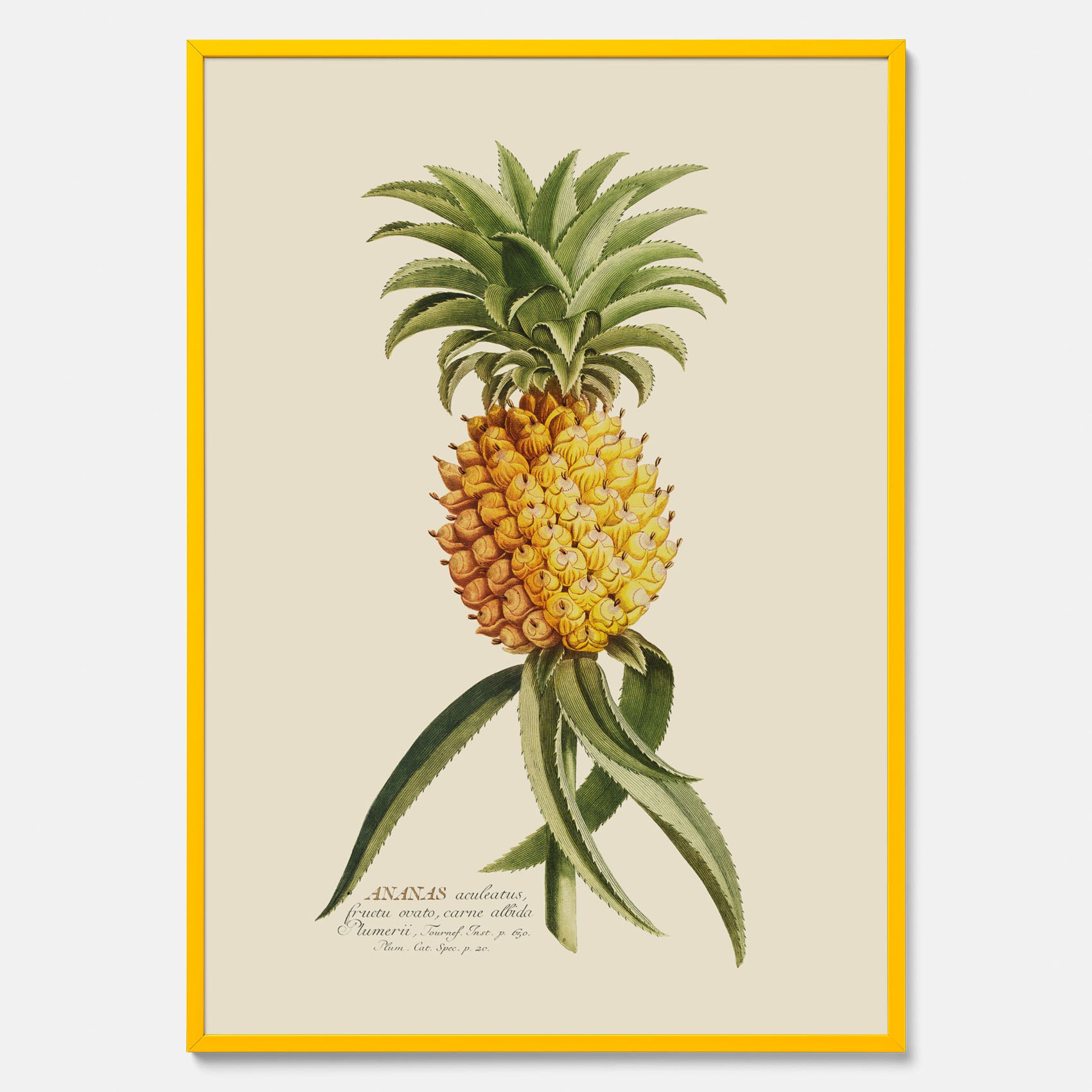 Kökstavla med en Ananas Poster – Plansch till köket, Skolposter, köksposter, tavla till kök, poster till kök