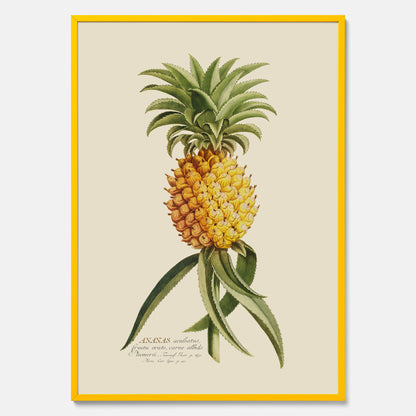Kökstavla med en Ananas Poster – Plansch till köket, Skolposter, köksposter, tavla till kök, poster till kök