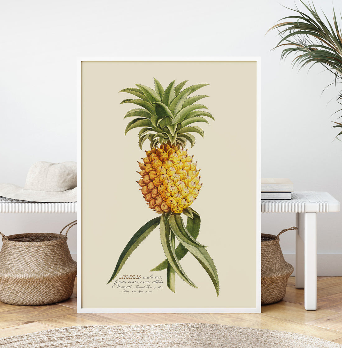 Kökstavla med en Ananas Poster – Plansch till köket, Skolposter, köksposter, tavla till kök, poster till kök