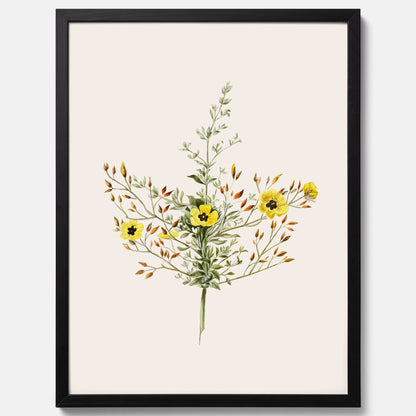 Vintageposter med en botanisk illustration föreställande nejlikglim, även kallad &
