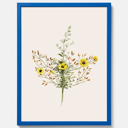 Vintageposter med en botanisk illustration föreställande nejlikglim, även kallad &