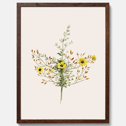 Vintageposter med en botanisk illustration föreställande nejlikglim, även kallad &