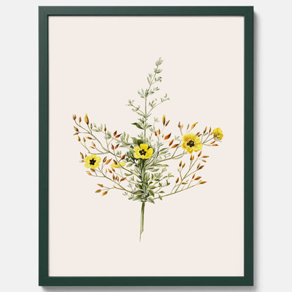 Vintageposter med en botanisk illustration föreställande nejlikglim, även kallad &