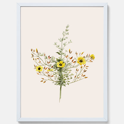 Vintageposter med en botanisk illustration föreställande nejlikglim, även kallad &