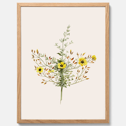 Vintageposter med en botanisk illustration föreställande nejlikglim, även kallad &