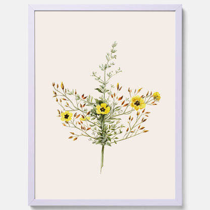 Vintageposter med en botanisk illustration föreställande nejlikglim, även kallad &