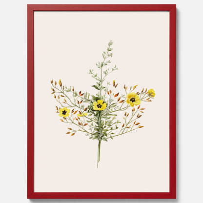 Vintageposter med en botanisk illustration föreställande nejlikglim, även kallad &