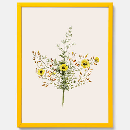 Vintageposter med en botanisk illustration föreställande nejlikglim, även kallad &