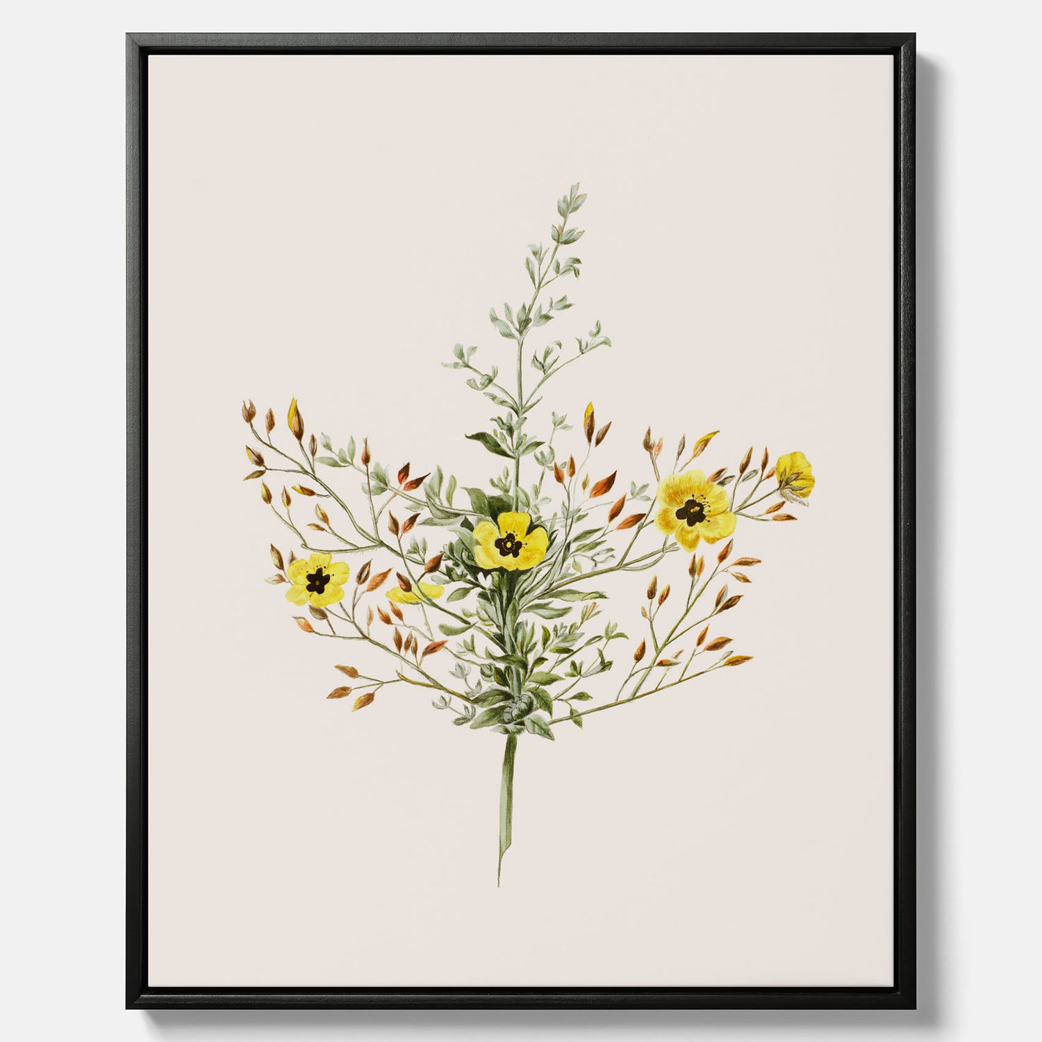 Vintageprint på canvas med en botanisk illustration föreställande nejlikglim, även kallad &